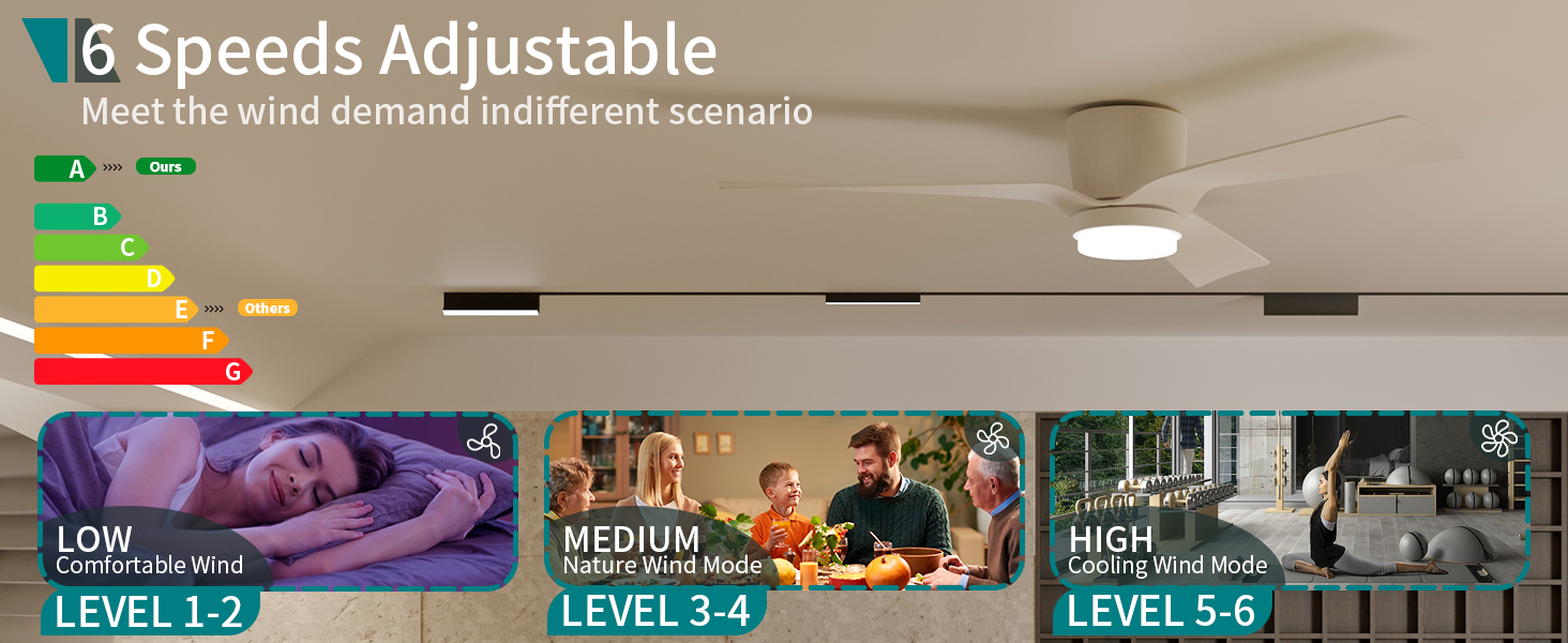 6 velocidades ajustables